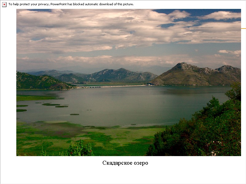 Скадарское озеро